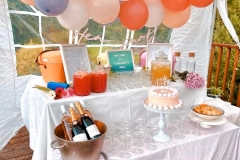 CLONEHOUSE-image33