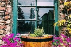 CLONEHOUSE-image42